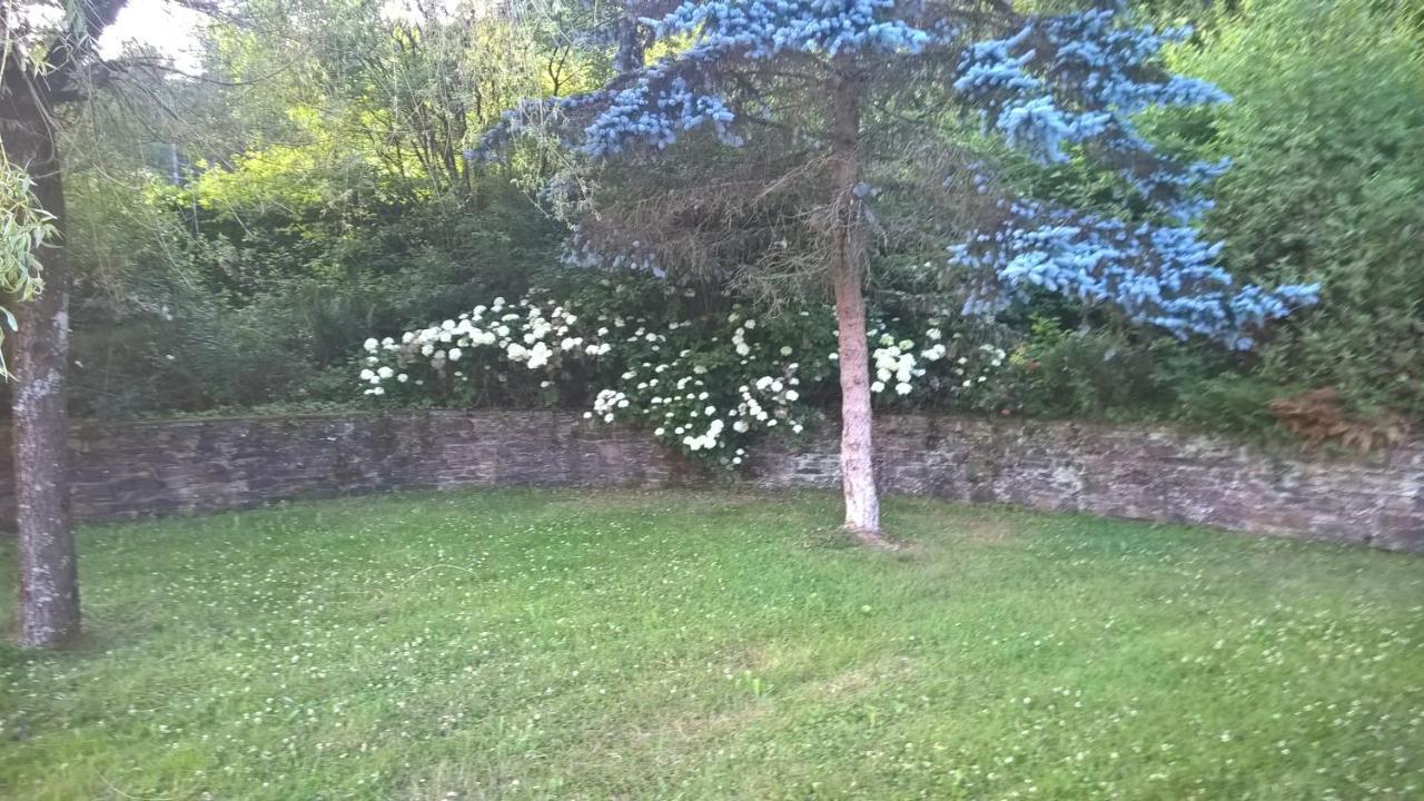 B&B Le Nid Doux Vresse-sur-Semois Exterior foto